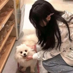 仙剑诀破解版下载